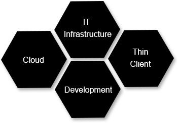 IT Infrastructure | Cloud | Thin Client | Development